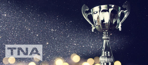 Silver award trophy showered in glitter
