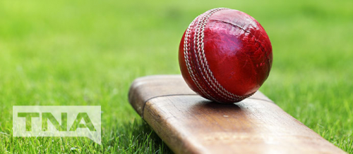 Cricket Bat and Ball on Grass