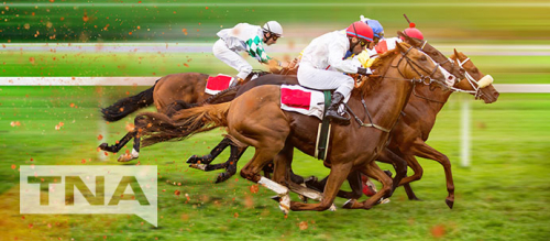 Four horses racing on horse racing track
