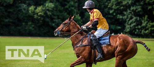 Horse and rider playing polo on a green