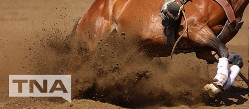 Horse running through dusty soil at a rodeo